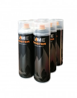 Pack Flame Booster 500ml x6