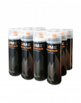 Pack Flame Booster 500ml x12