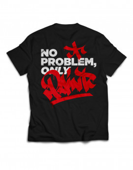 CAMISETA NO PROBLEM ONLY PAINT TAG